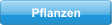 Pflanzen