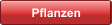 Pflanzen